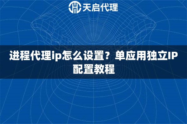 进程代理ip怎么设置？单应用独立IP配置教程