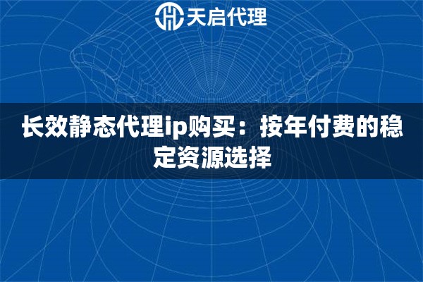长效静态代理ip购买：按年付费的稳定资源选择