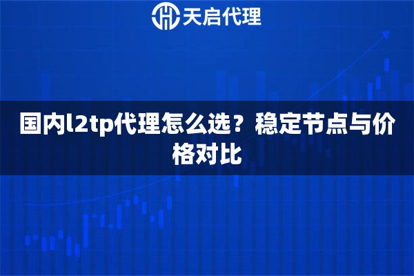 国内l2tp代理怎么选？稳定节点与价格对比