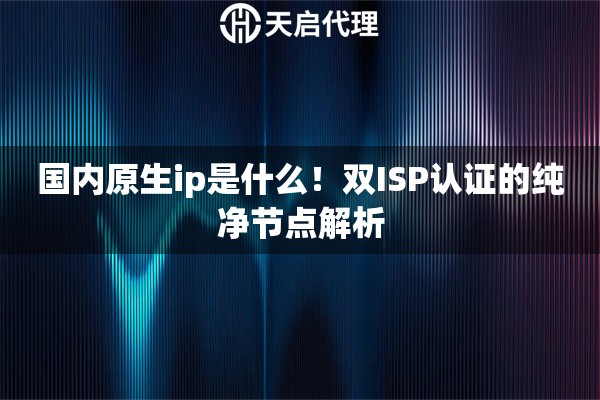 国内原生ip是什么！双ISP认证的纯净节点解析