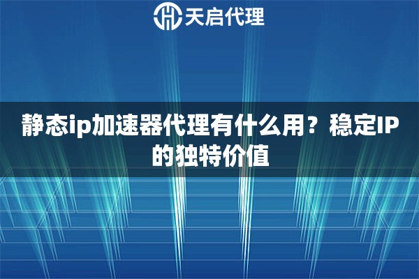 静态ip加速器代理有什么用？稳定IP的独特价值