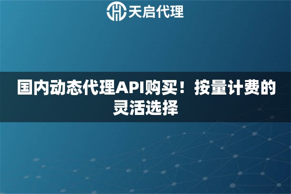 国内动态代理API购买！按量计费的灵活选择