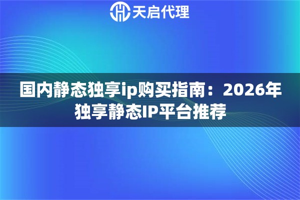 国内静态独享ip购买指南：2026年独享静态IP平台推荐