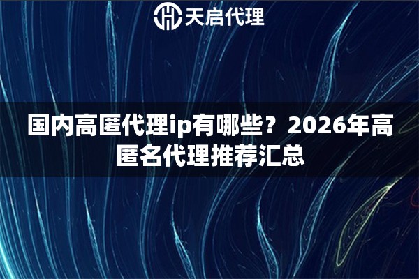 国内高匿代理ip有哪些?2026年高匿名代理推荐汇总 国内高匿代理ip有哪些?2026年高匿名代理推荐汇总
