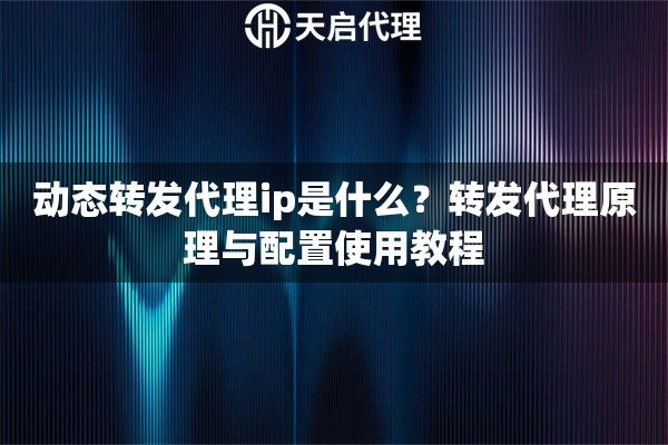 动态转发代理ip是什么？转发代理原理与配置使用教程