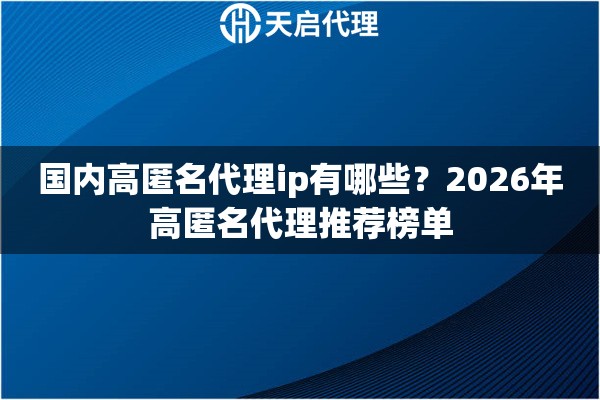 国内高匿名代理ip有哪些?2026年高匿名代理推荐榜单 国内高匿名代理ip有哪些?2026年高匿名代理推荐榜单