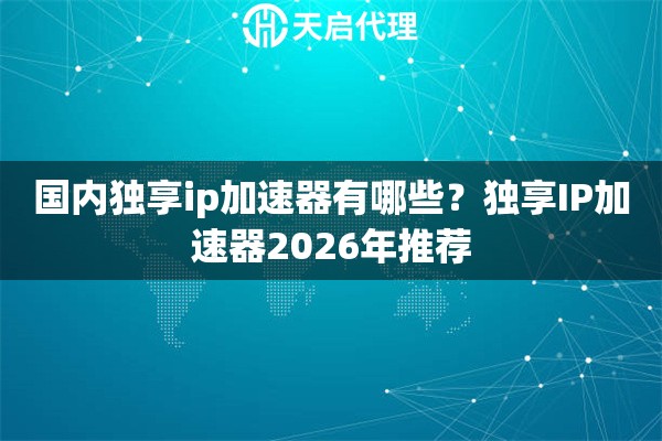 国内独享ip加速器有哪些?独享IP加速器2026年推荐 国内独享ip加速器有哪些?独享IP加速器2026年推荐