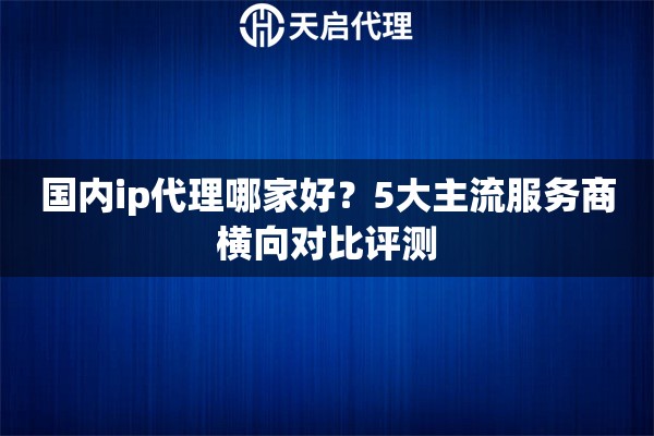 国内ip代理哪家好?5大主流服务商横向对比评测 国内ip代理哪家好?5大主流服务商横向对比评测