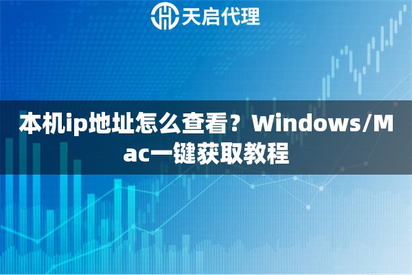 本机ip地址怎么查看?Windows/Mac一键获取教程 本机ip地址怎么查看?Windows/Mac一键获取教程
