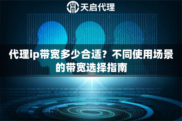 代理ip带宽多少合适？不同使用场景的带宽选择指南