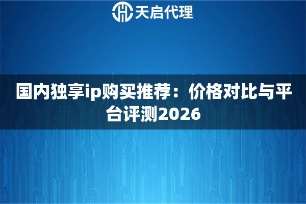 国内独享ip购买推荐:价格对比与平台评测2026 国内独享ip购买推荐:价格对比与平台评测2026