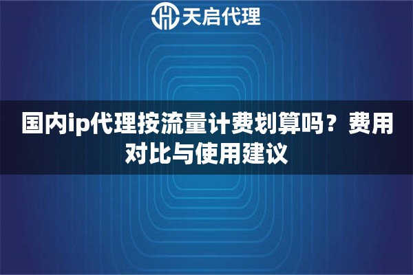 国内ip代理按流量计费划算吗？费用对比与使用建议