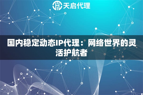 国内稳定动态IP代理：网络世界的灵活护航者