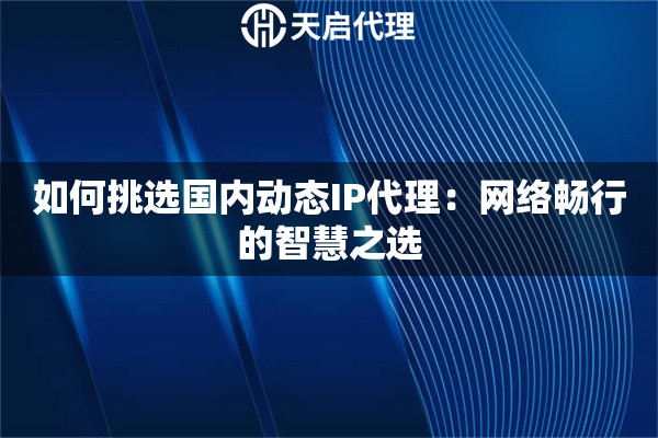 如何挑选国内动态IP代理：网络畅行的智慧之选