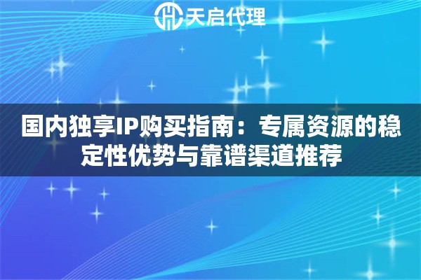 国内独享IP购买指南：专属资源的稳定性优势与靠谱渠道推荐