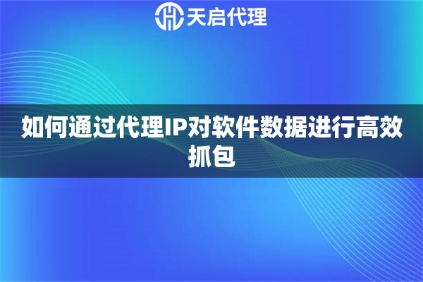 如何通过代理IP对软件数据进行高效抓包