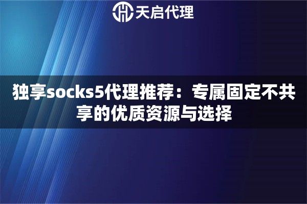 独享socks5代理推荐：专属固定不共享的优质资源与选择