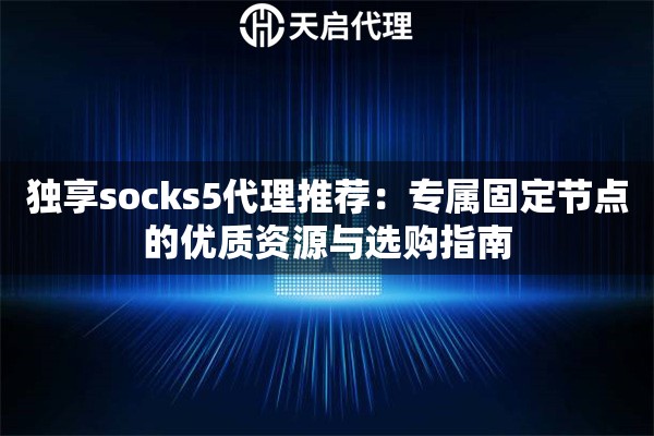 独享socks5代理推荐：专属固定节点的优质资源与选购指南