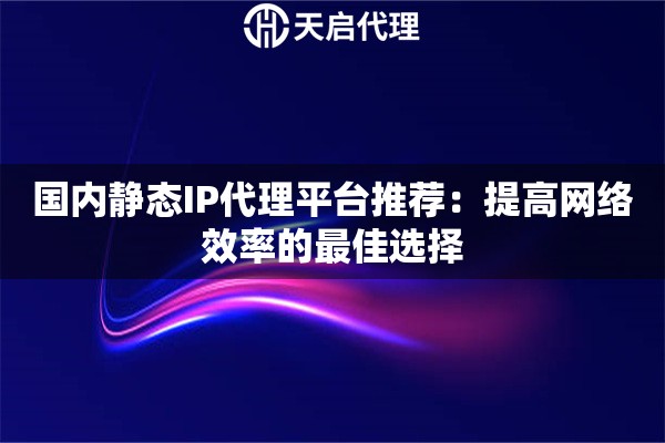 国内静态IP代理平台推荐：提高网络效率的最佳选择