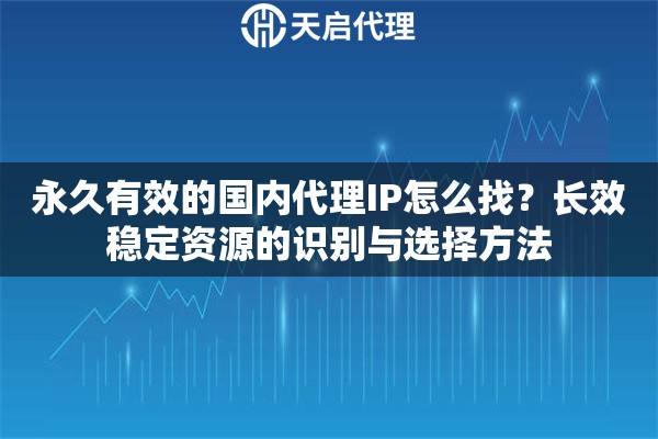 永久有效的国内代理IP怎么找?长效稳定资源的识别与选择方法 永久有效的国内代理IP怎么找?长效稳定资源的识别与选择方法
