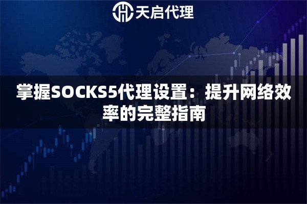 掌握SOCKS5代理设置：提升网络效率的完整指南