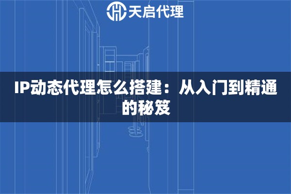IP动态代理怎么搭建：从入门到精通的秘笈