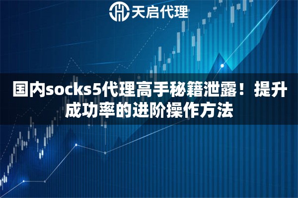 国内socks5代理高手秘籍泄露!提升成功率的进阶操作方法 国内socks5代理高手秘籍泄露!提升成功率的进阶操作方法
