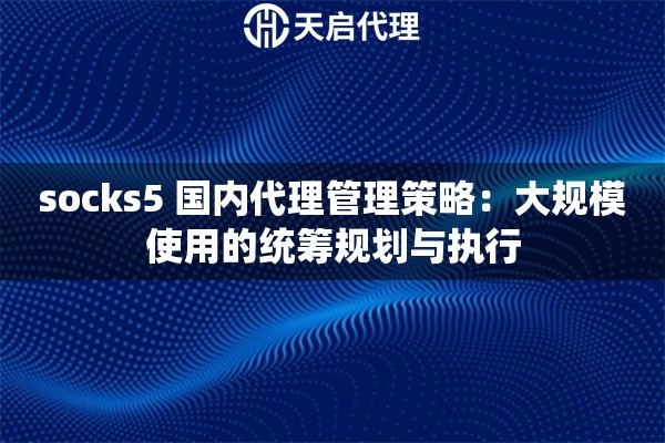 socks5 国内代理管理策略:大规模使用的统筹规划与执行 socks5 国内代理管理策略:大规模使用的统筹规划与执行