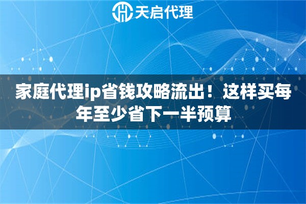 家庭代理ip省钱攻略流出！这样买每年至少省下一半预算