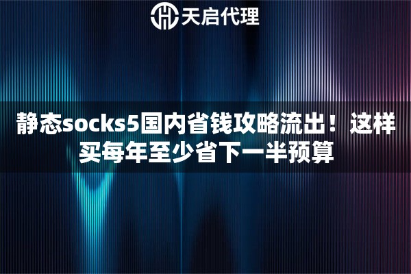 静态socks5国内省钱攻略流出！这样买每年至少省下一半预算