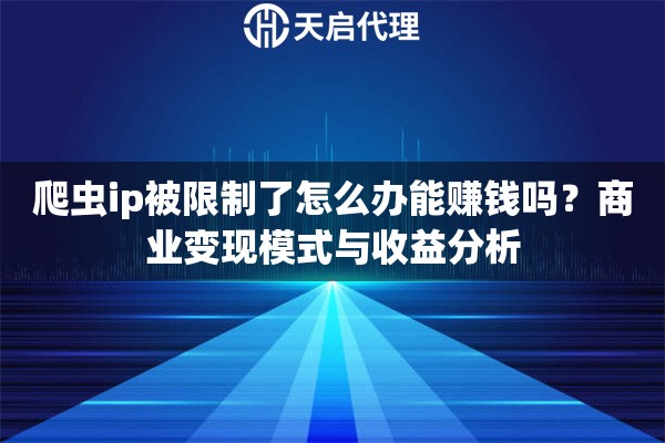 爬虫ip被限制了怎么办能赚钱吗？商业变现模式与收益分析