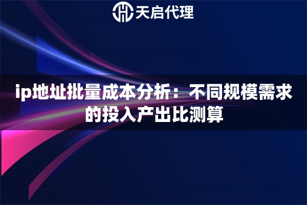 ip地址批量成本分析：不同规模需求的投入产出比测算