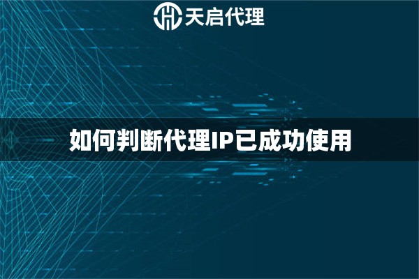 如何判断代理IP已成功使用