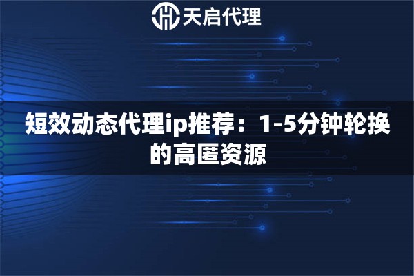 短效动态代理ip推荐：1-5分钟轮换的高匿资源