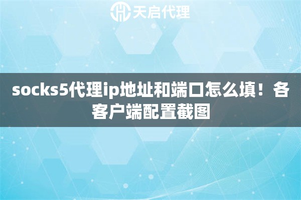 socks5代理ip地址和端口怎么填！各客户端配置截图