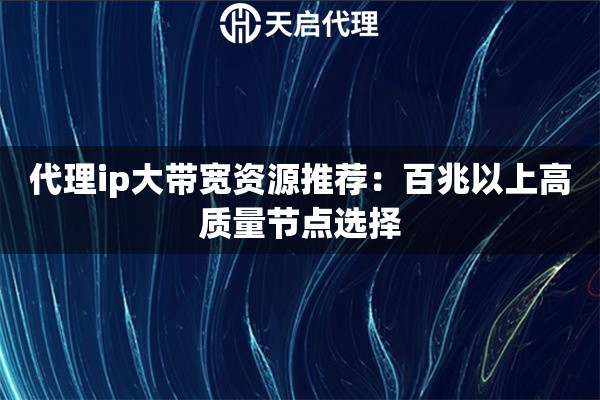 代理ip大带宽资源推荐：百兆以上高质量节点选择