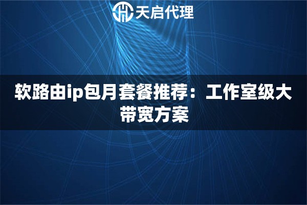 软路由ip包月套餐推荐：工作室级大带宽方案