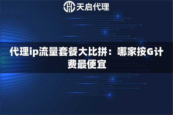 代理ip流量套餐大比拼：哪家按G计费最便宜