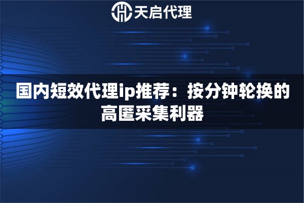 国内短效代理ip推荐:按分钟轮换的高匿采集利器 国内短效代理ip推荐:按分钟轮换的高匿采集利器