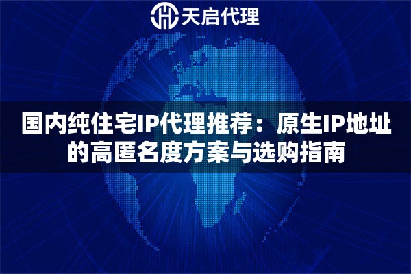 国内纯住宅IP代理推荐：原生IP地址的高匿名度方案与选购指南