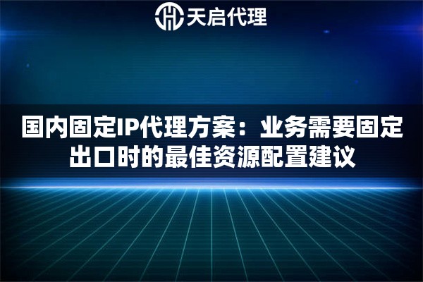 国内固定IP代理方案：业务需要固定出口时的最佳资源配置建议
