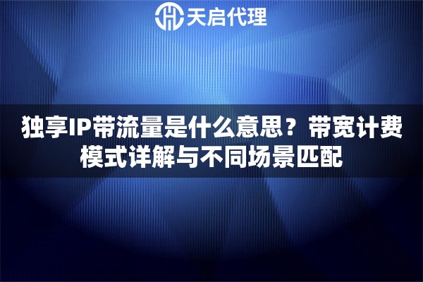 独享IP带流量是什么意思？带宽计费模式详解与不同场景匹配