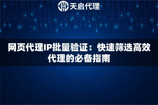 网页代理IP批量验证：快速筛选高效代理的必备指南