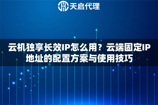 云机独享长效IP怎么用？云端固定IP地址的配置方案与使用技巧