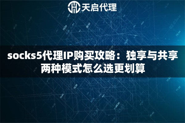socks5代理IP购买攻略：独享与共享两种模式怎么选更划算