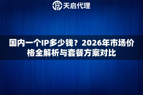 国内一个IP多少钱？2026年市场价格全解析与套餐方案对比