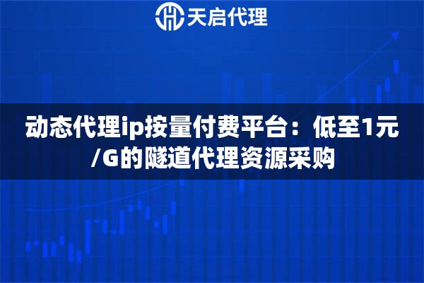 动态代理ip按量付费平台：低至1元/G的隧道代理资源采购
