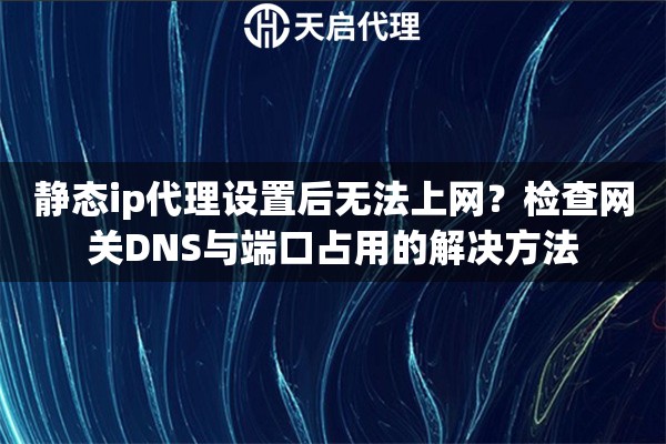静态ip代理设置后无法上网?检查网关DNS与端口占用的解决方法 静态ip代理设置后无法上网?检查网关DNS与端口占用的解决方法