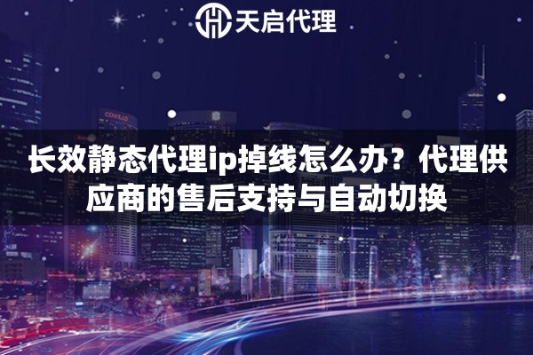 长效静态代理ip掉线怎么办？代理供应商的售后支持与自动切换