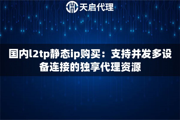 国内l2tp静态ip购买：支持并发多设备连接的独享代理资源